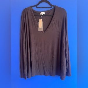 Universal Standard for J. Crew L/S Tee 3x